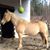 Michelle Benac Green's profile image