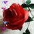 Gudrun Kerbel's profile image