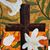 Tracy Storts's profile image
