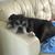 Kayla Flynn Zellers's profile image