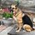 Nancy Bieri's profile image