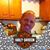 Harry Scott Sturgeon's profile image