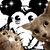 David Laughlin's profile image