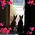 Hang Pham's profile image