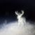 L.j. Knight's profile image