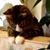 Joanne Joyce's profile image