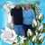 Lula Mae Fenstermacher Gonnelli's profile image