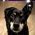 Joanne Decker's profile image