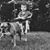 Melissa Cozzolino Puckett's profile image