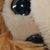 Sara Hatcher's profile image