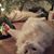 Laura Harper-Rule McClary's profile image