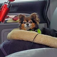 Kevin D. Sargent's profile image