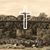 Terry Fitts's profile image