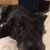 Wendy Upright's profile image