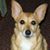 Fizz Buckles's profile image