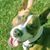 Jay Stiglitz's profile image