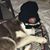 John Michael Cardenas's profile image