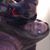 Cheryl Tucker's profile image