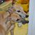 Gudrun Malers-Scheider's profile image