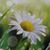 Maria Del Carmen Pimentel's profile image