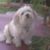 Kristie Casey's profile image
