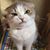 Wilson Hiew's profile image