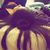 Ails Pizarro's profile image