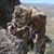 Craig Schuman's profile image