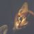 Heather Lemerond's profile image