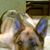 Kenny Van Dine's profile image