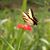 Cathie Brocker's profile image