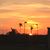 Kristy Wilt Sammons's profile image