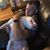 Rugger Tincher's profile image