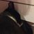Angenny Garcia's profile image