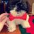 Shirley Hughes's profile image