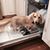 Jessica Robideau Rego's profile image