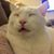 Tina Chang's profile image
