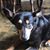 Patti DeFreitas Brekne's profile image