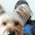 Gerianne Barrera Freeman's profile image