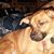 Laurie Oeinck-Myers's profile image