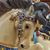 Lisa Wilson Hockersmith's profile image