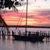 Debra Blachly Marchica's profile image