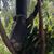 Deb Laudahl's profile image