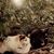 Patsy Sponholtz's profile image