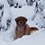 Brian Shope's profile image