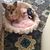 Patricia Simmons's profile image