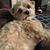 Cheryl Gilhool's profile image
