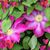 Joan Kuykendall's profile image