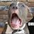 Devon James's profile image