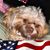 Lana Montgomery-Ledgerwood's profile image
